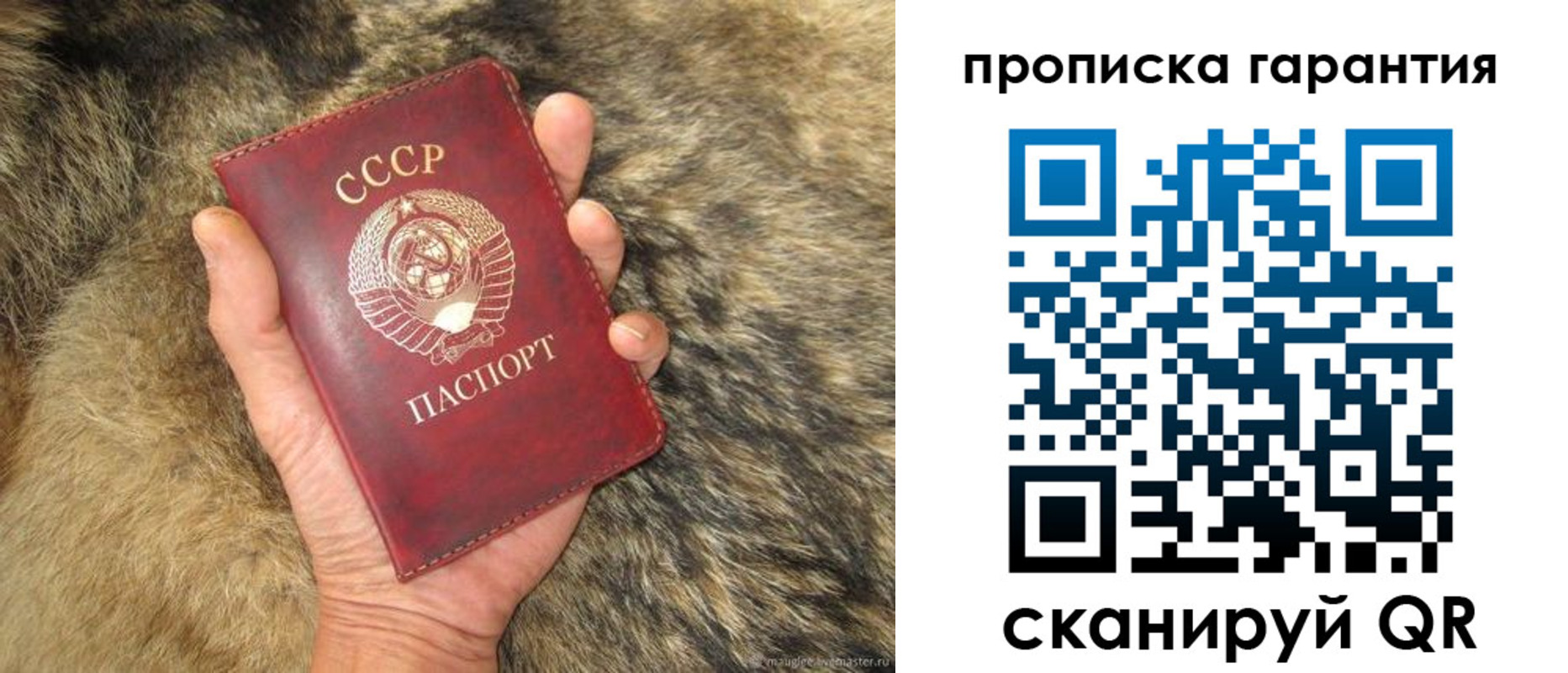 временная регистрация гарантия в Сосенском